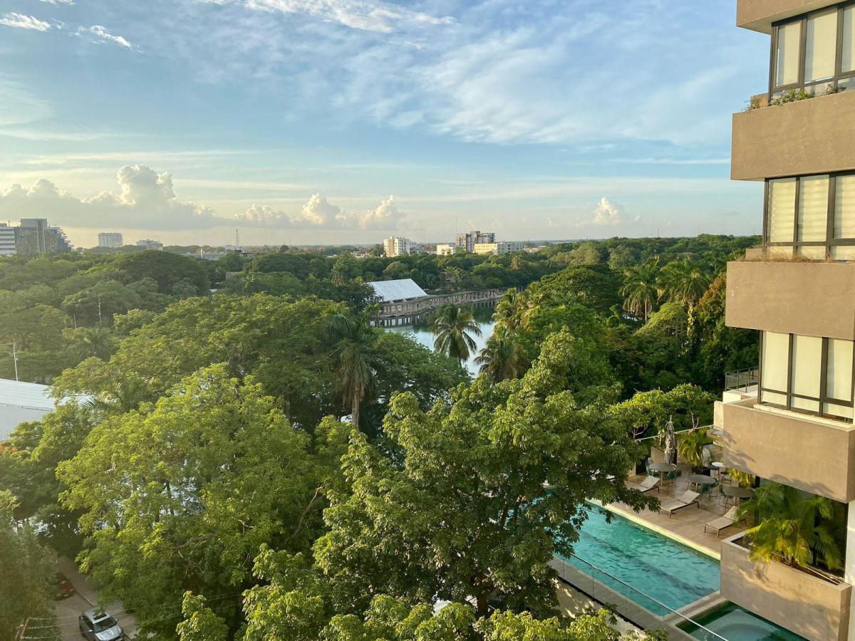 Galería de Laguna Park